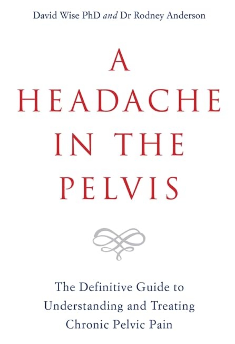 Picture of Headache in the pelvis - the definitive guide to understanding and treating