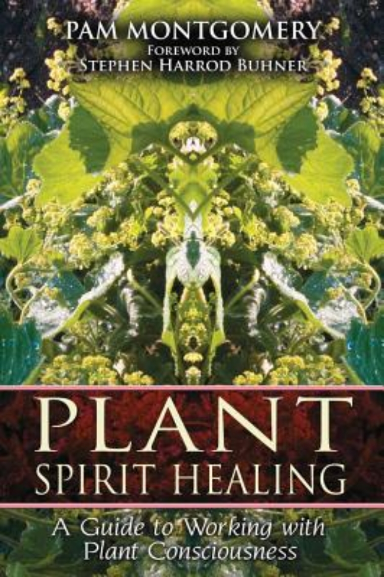 Picture of Plant spirit healing - a guide to working with plant consciousness