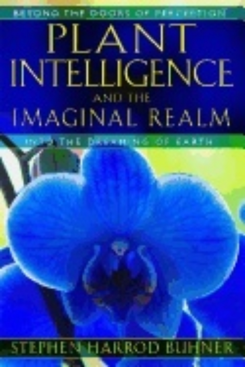 Picture of Plant intelligence and the imaginal realm - beyond the doors of perception