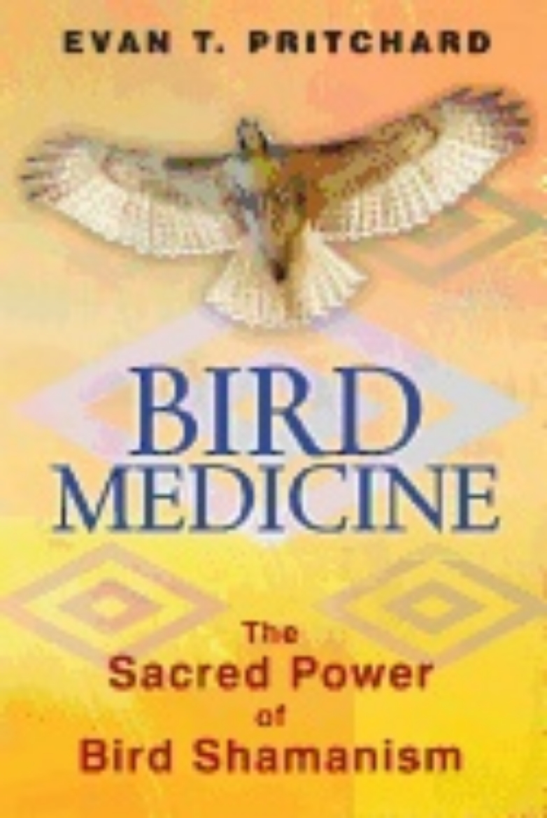 Picture of Bird Medicine : The Sacred Power of Bird Shamanism