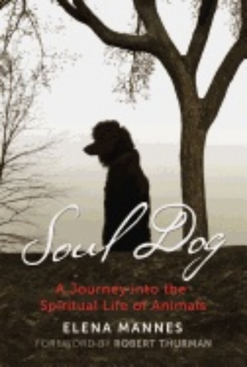 Picture of Soul Dog : A Journey into the Spiritual Life of Animals