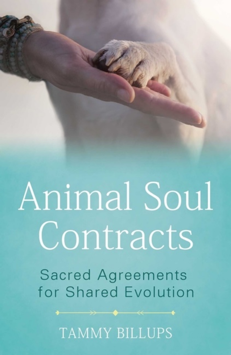Picture of Animal Soul Contracts
