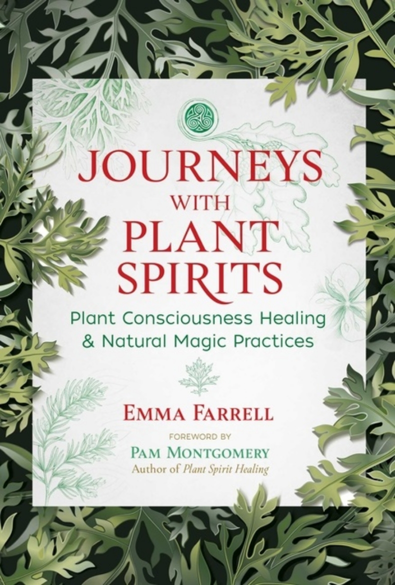 Picture of Journeys With Plant Spirits