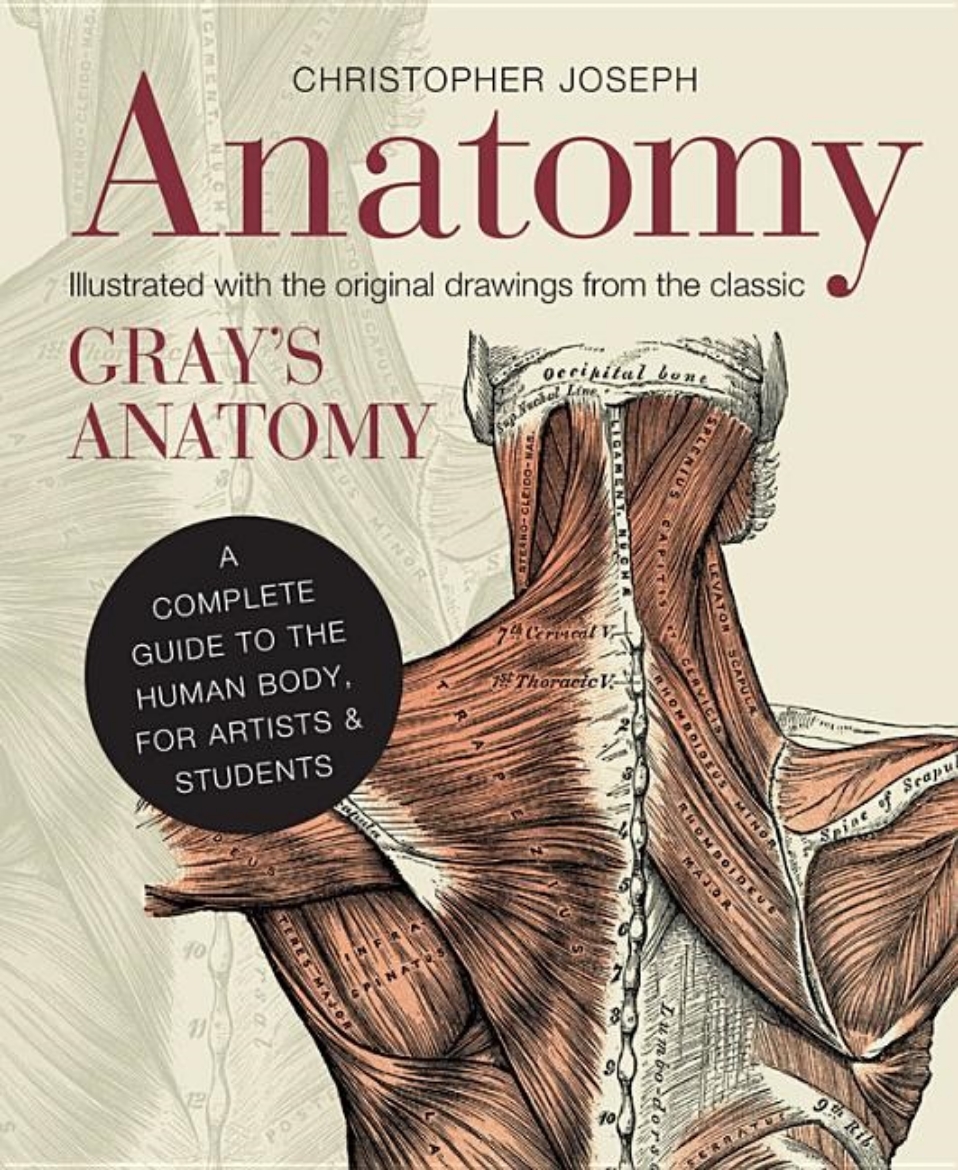 Picture of Anatomy - a complete guide to the human body, for artists & students