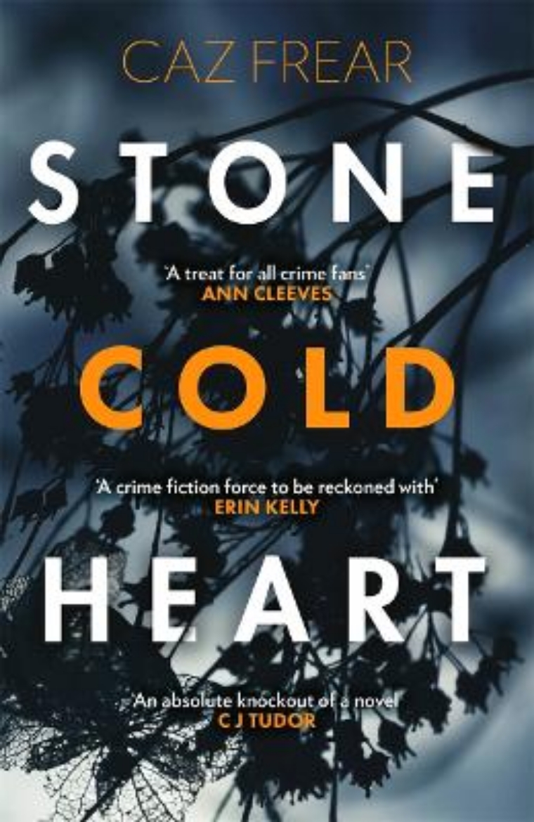 Picture of Stone Cold Heart: the addictive new thriller from the author of Sweet Little Lies