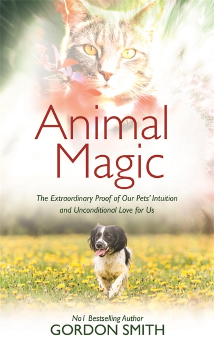 Picture of Animal magic - the extraordinary proof of our pets intuition and unconditio