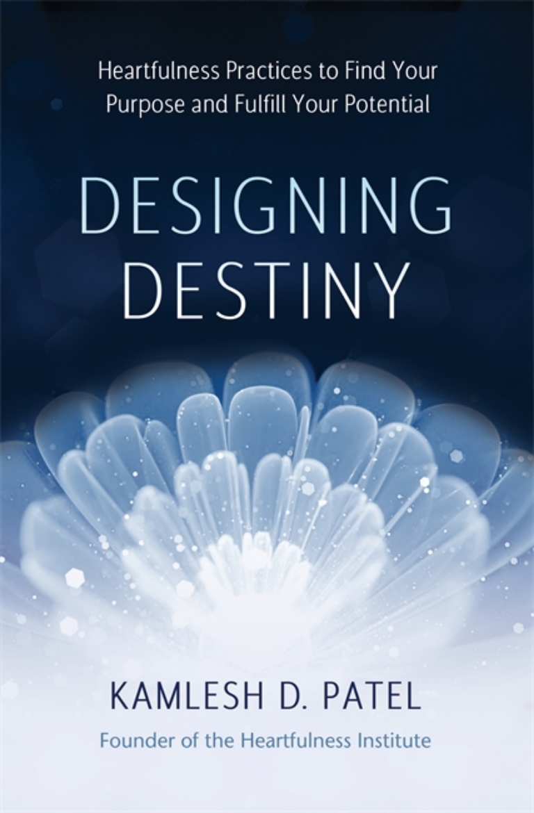 Picture of Designing Destiny