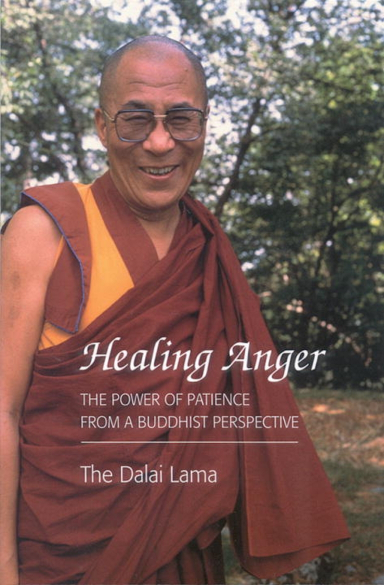 Picture of Healing Anger: The Power Of Patience From A Buddhist Point O