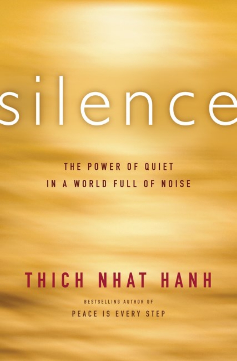 Picture of Silence: The Power of Quiet in a World Full of Noise