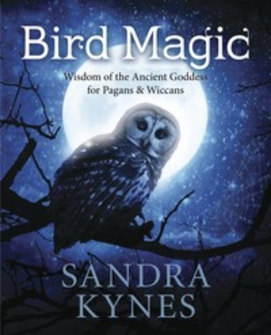Picture of Bird Magic: Wisdom of the Ancient