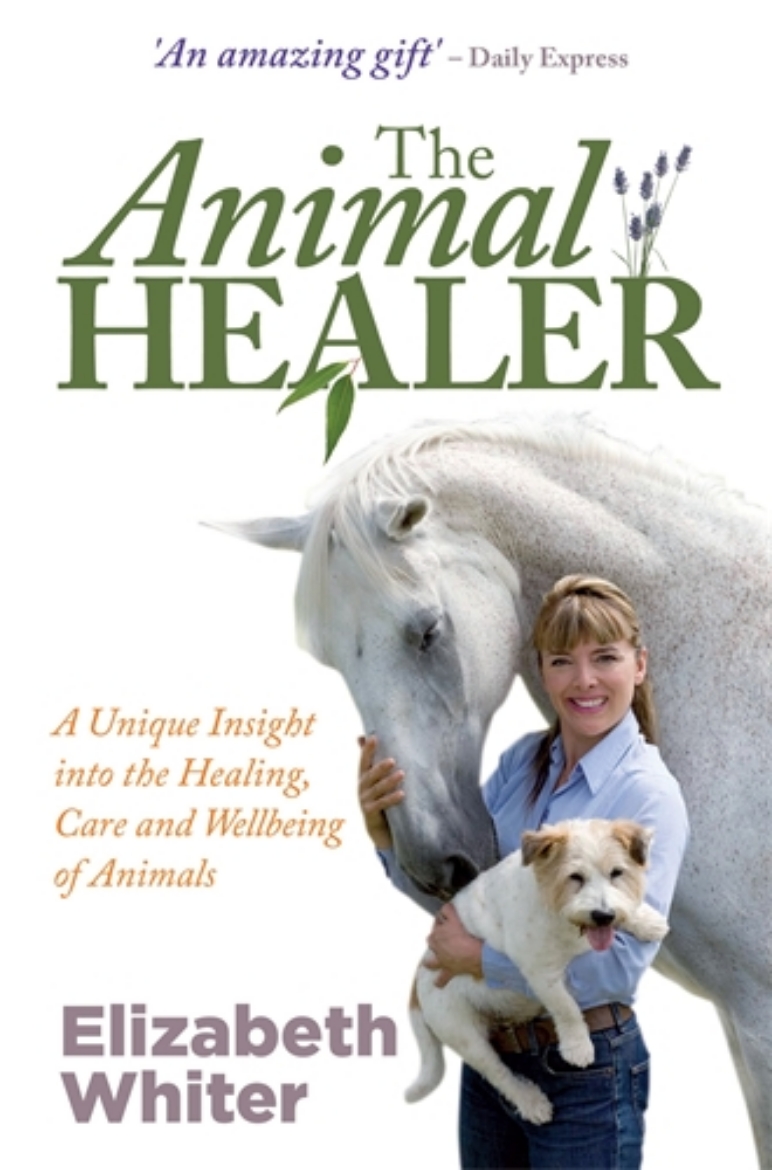 Picture of Animal healer - a unique insight into the healing, care and wellbeing of an