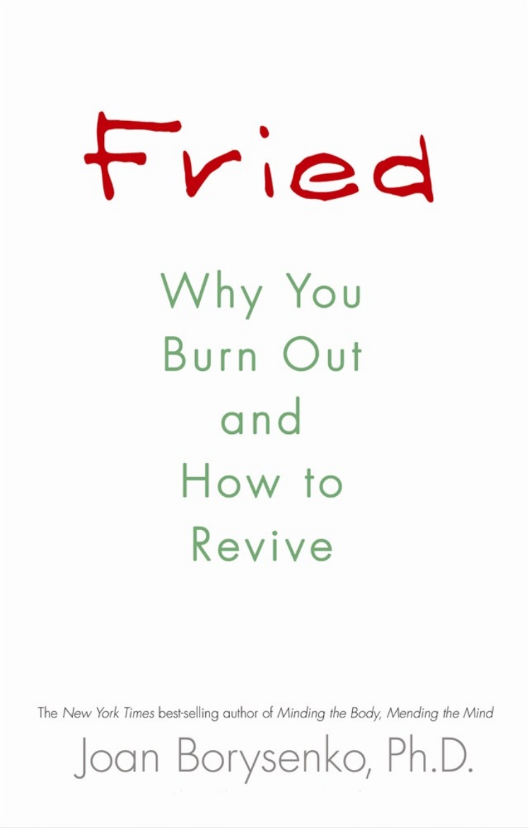 Picture of Fried - why you burn out and how to revive