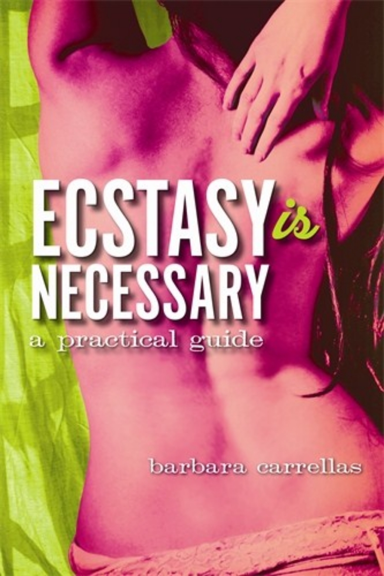 Picture of Ecstasy is necessary - a practical guide