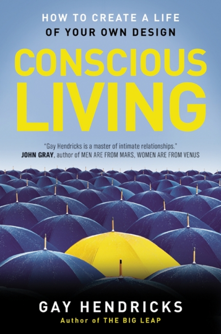 Picture of Conscious Living: Finding Joy In The Real World (Q)