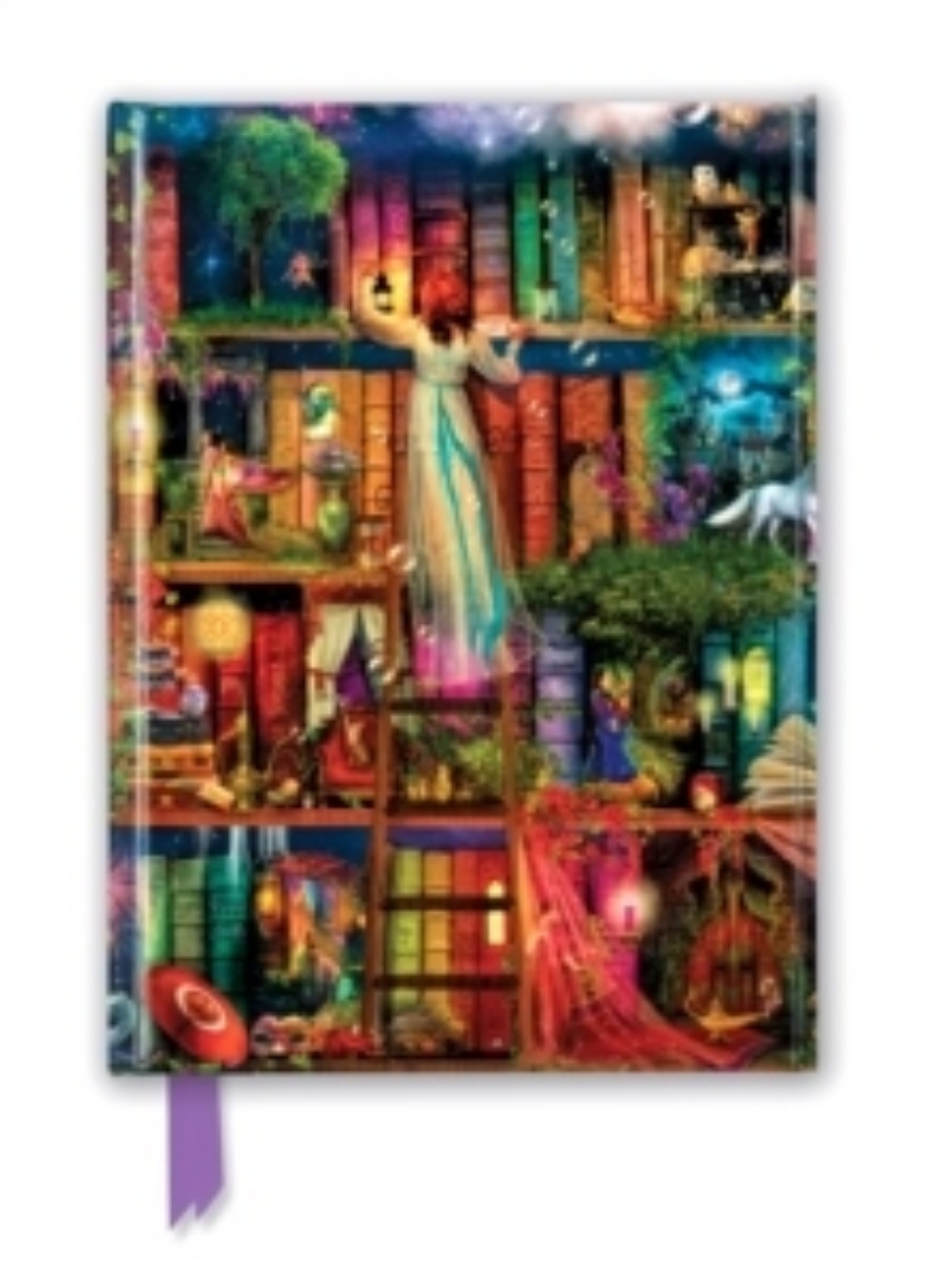 Picture of Aimee Stewart: Treasure Hunt Bookshelves (Foiled Journal)