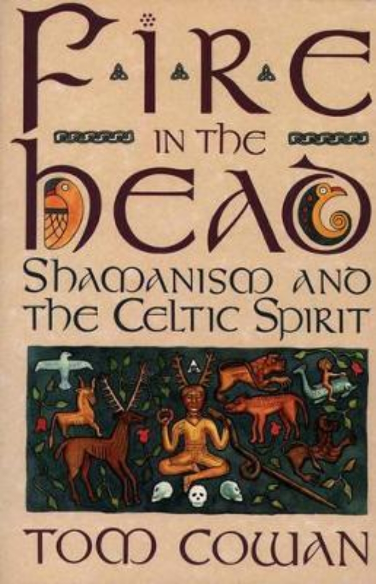 Picture of Fire In The Head: Shamanism & The Celtic Spirit