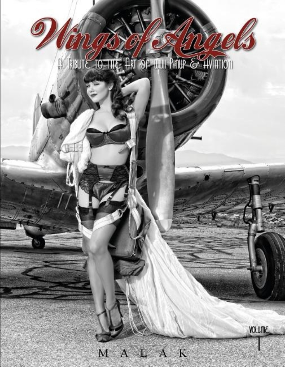 Picture of Wings of angels - a tribute to the art of world war ii pinup & aviation