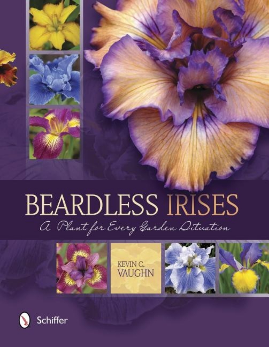 Picture of Beardless irises - a plant for every garden situation