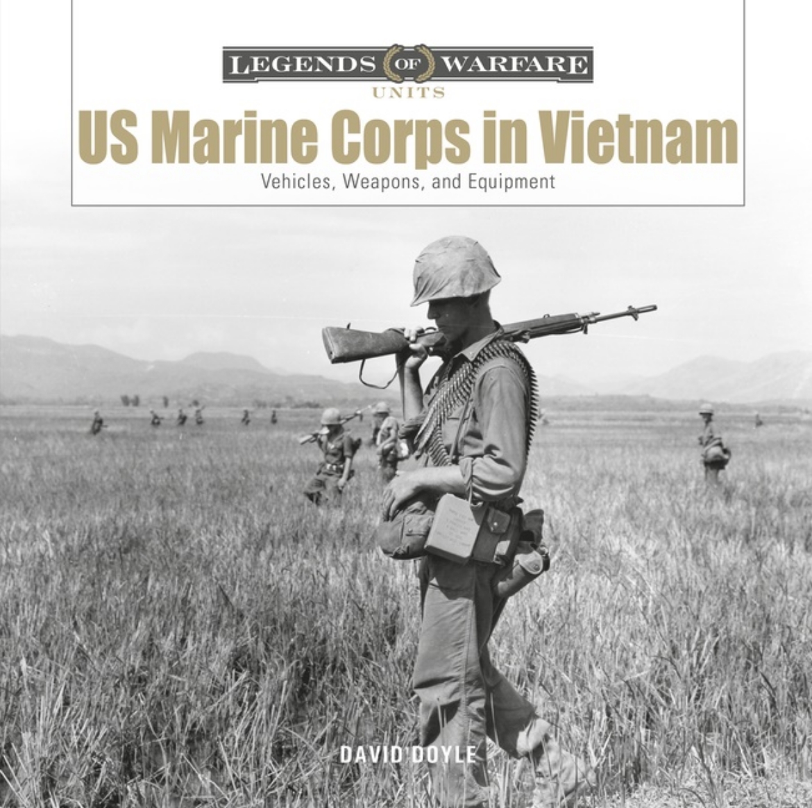 Picture of Us Marine Corps In Vietnam