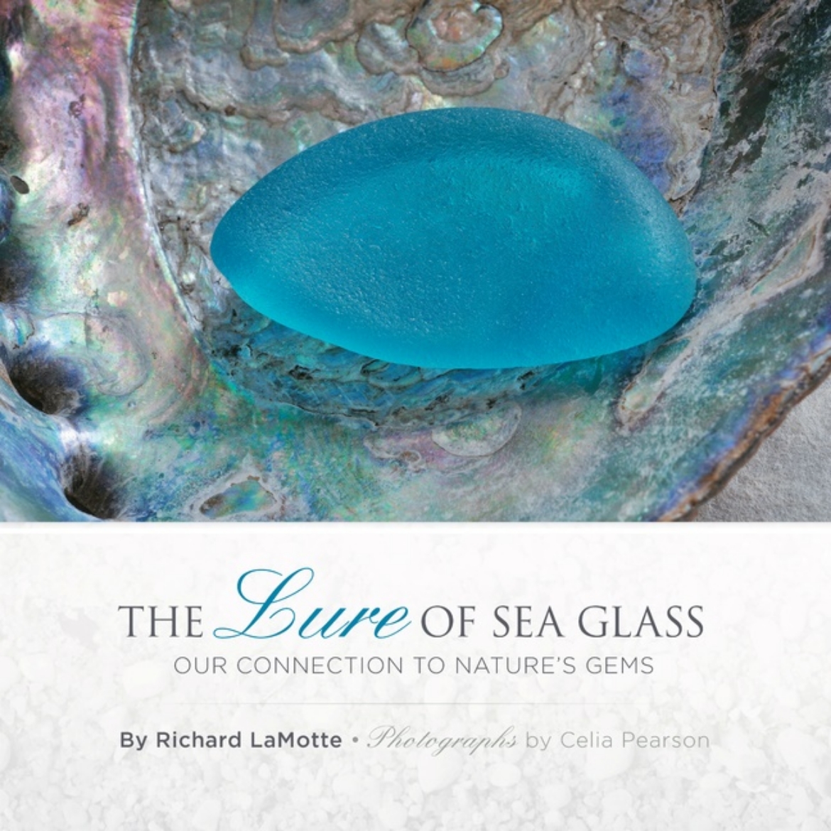 Picture of The Lure Of Sea Glass : Our Connection to Nature's Gems