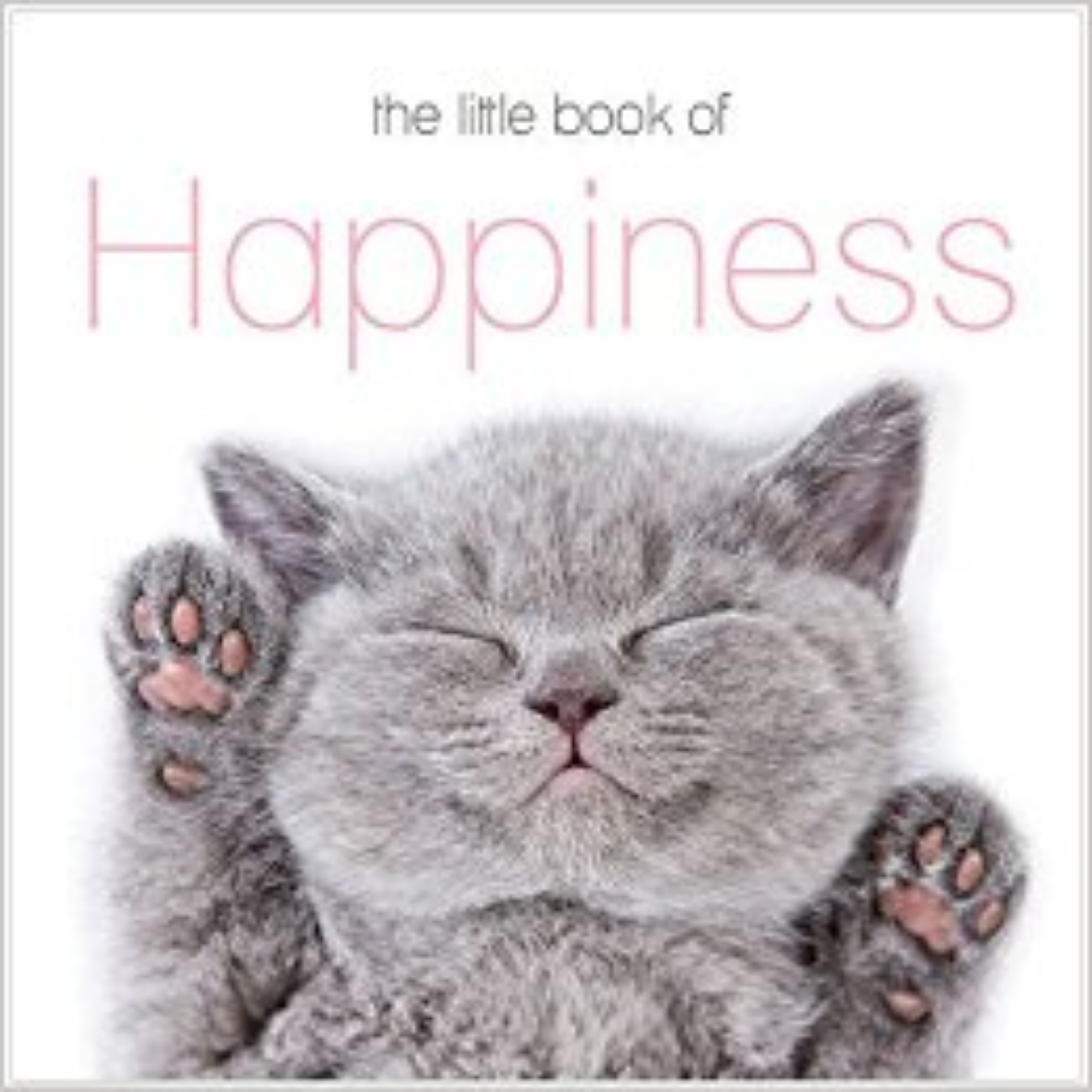 Picture of Little book of happiness
