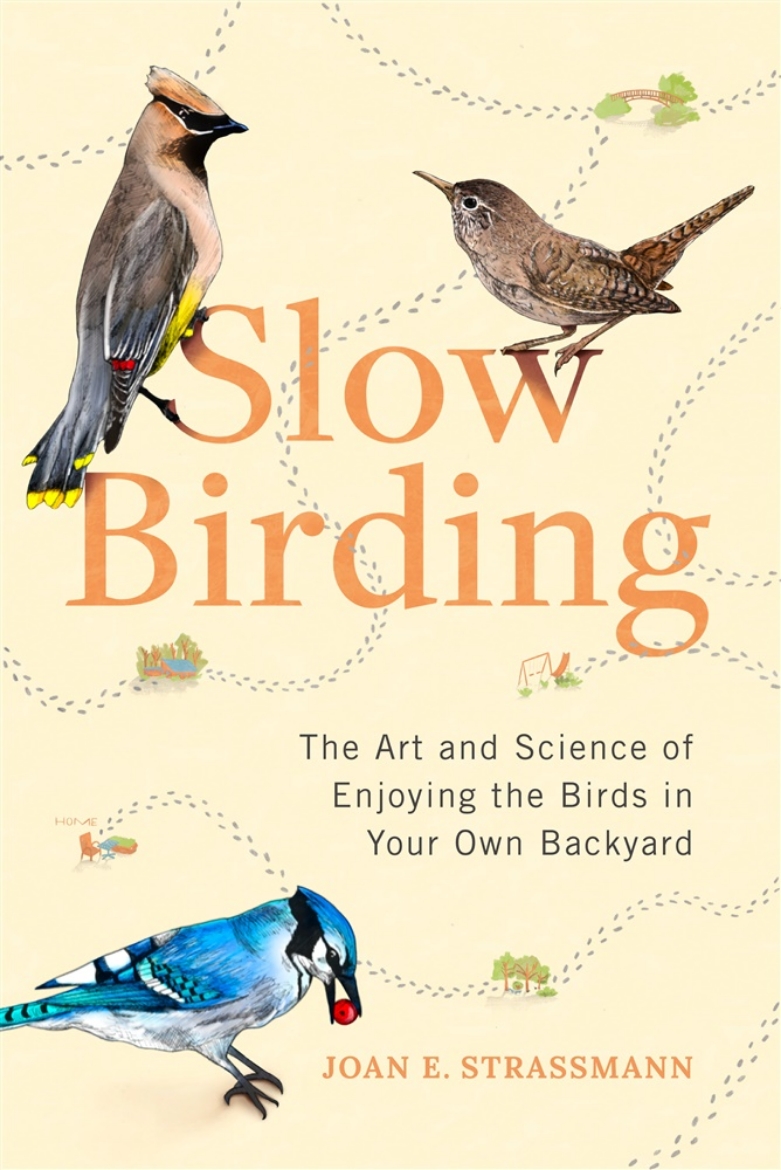 Picture of Slow Birding
