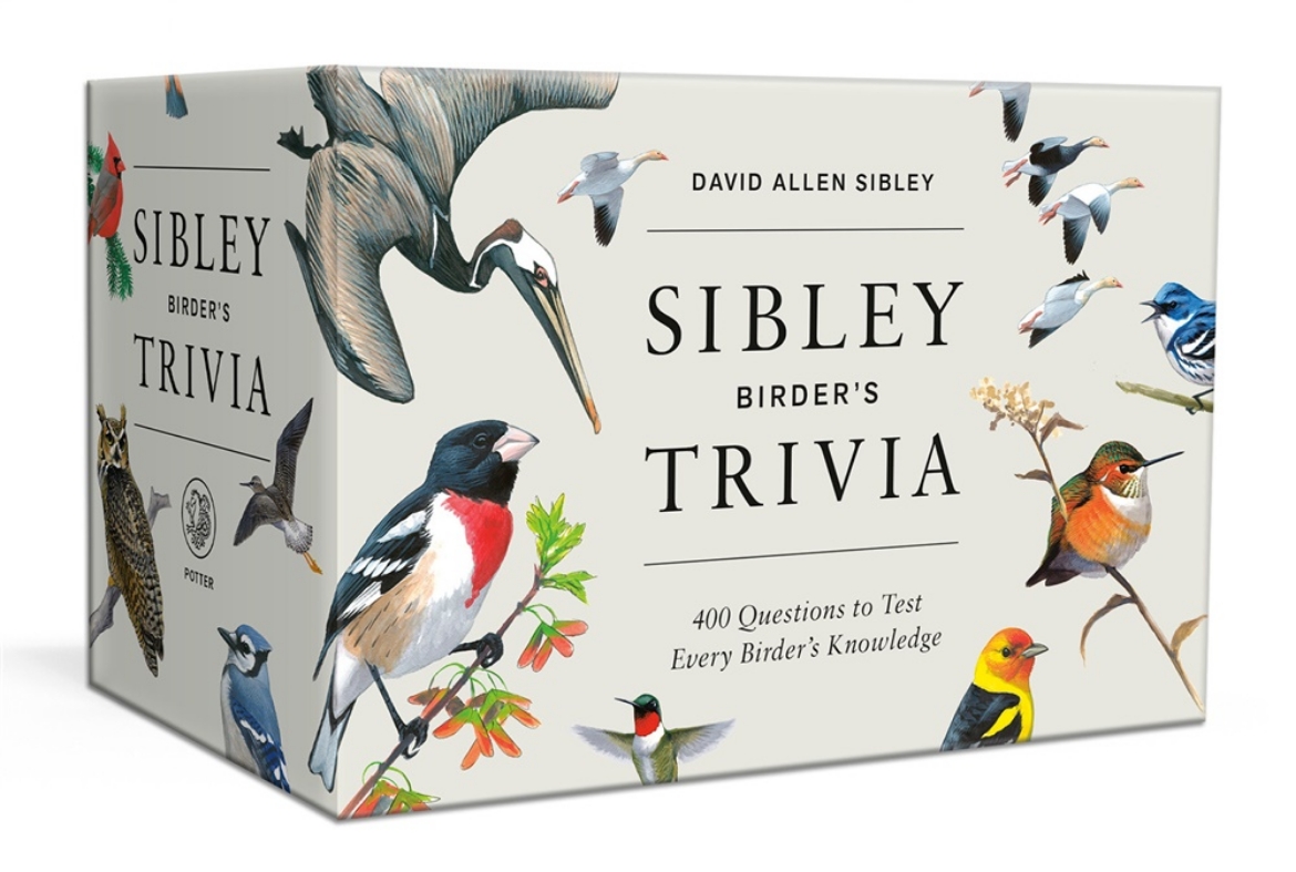 Picture of Sibley Birder's Trivia: A Card Game