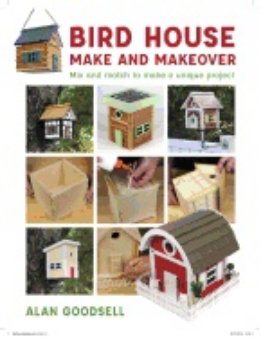 Picture of Bird House Make and Makeover