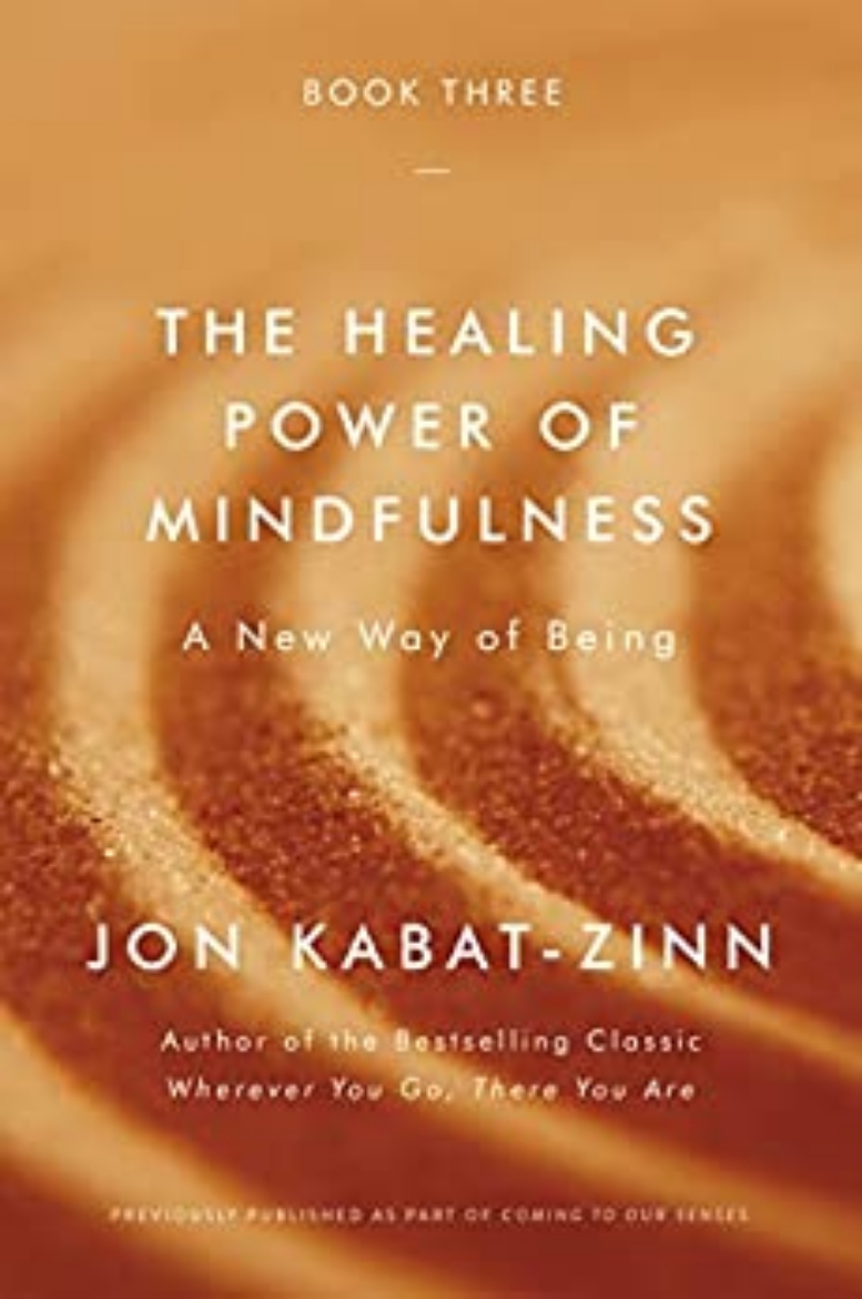 Picture of The Healing Power of Mindfulness