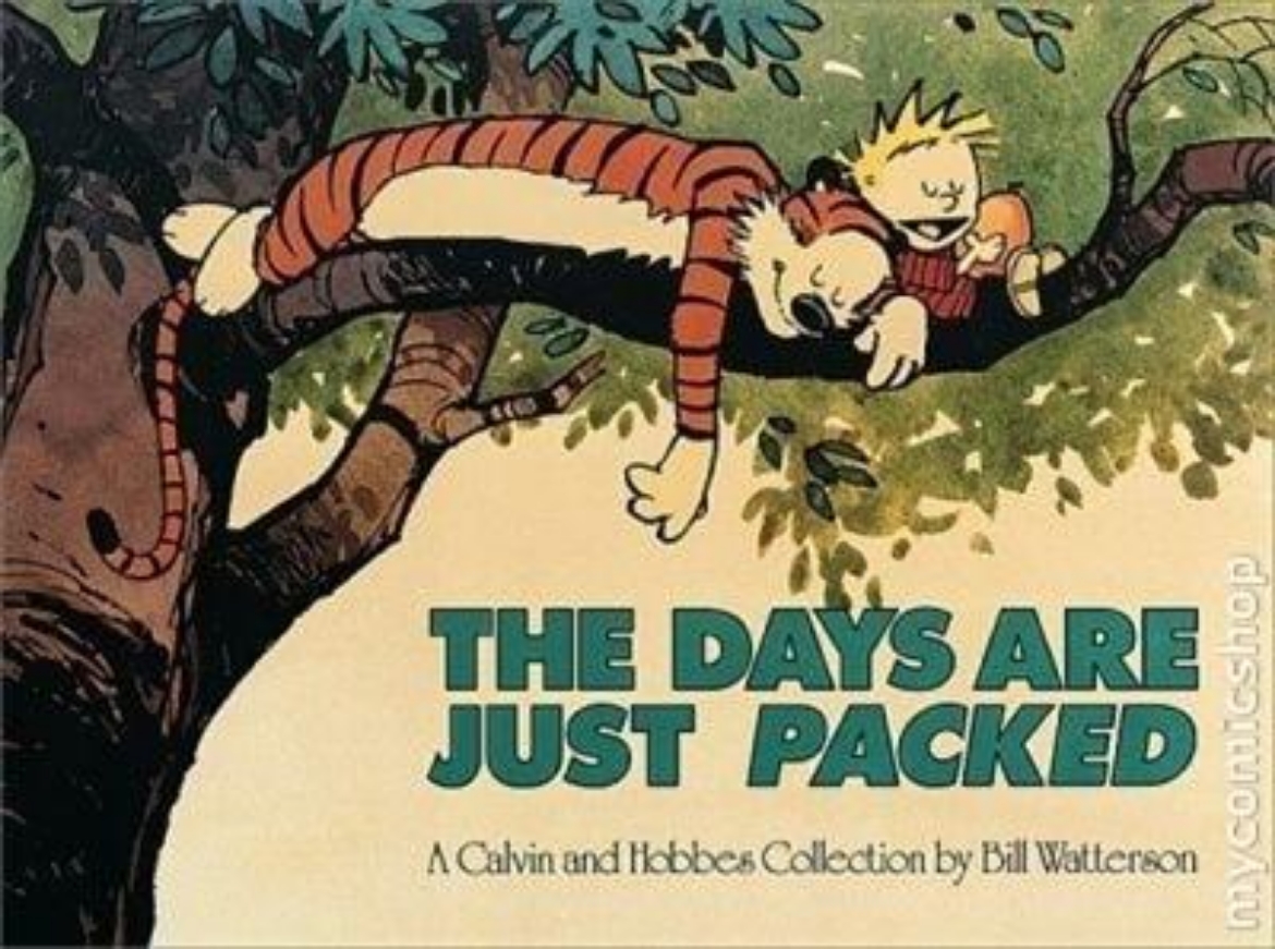 Picture of Days are just packed - calvin & hobbes series: book twelve