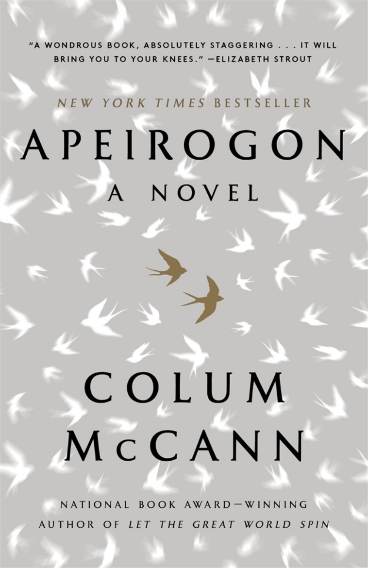 Picture of Apeirogon: A Novel