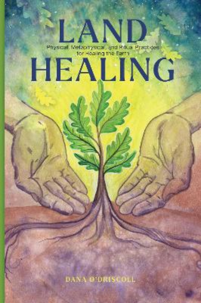 Picture of Land Healing: Physical, Metaphysical, and Ritual Practices for Healing the Earth