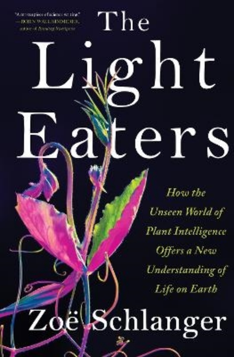 Picture of The Light Eaters