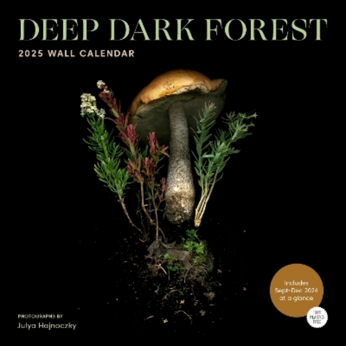 Picture of Deep Dark Forest 2025 Wall Calendar