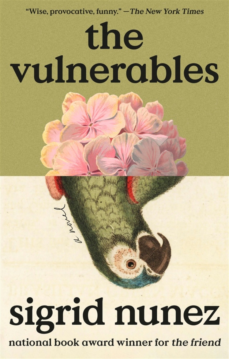 Picture of The Vulnerables: A Novel