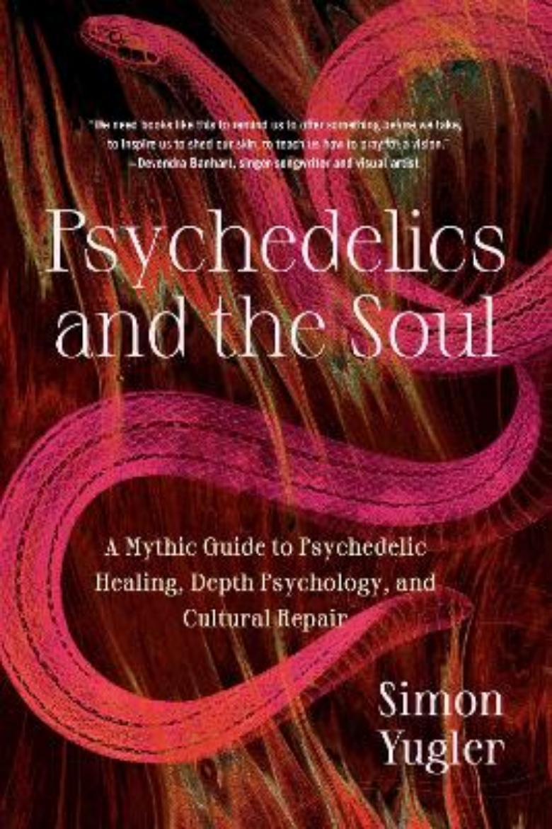 Picture of Psychedelics and the Soul: A Mythic Guide to Psychedelic Healing, Depth Psychology, and Cultural Repair