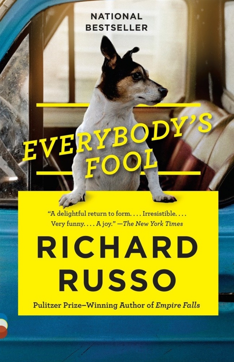 Picture of Everybodys fool - a novel