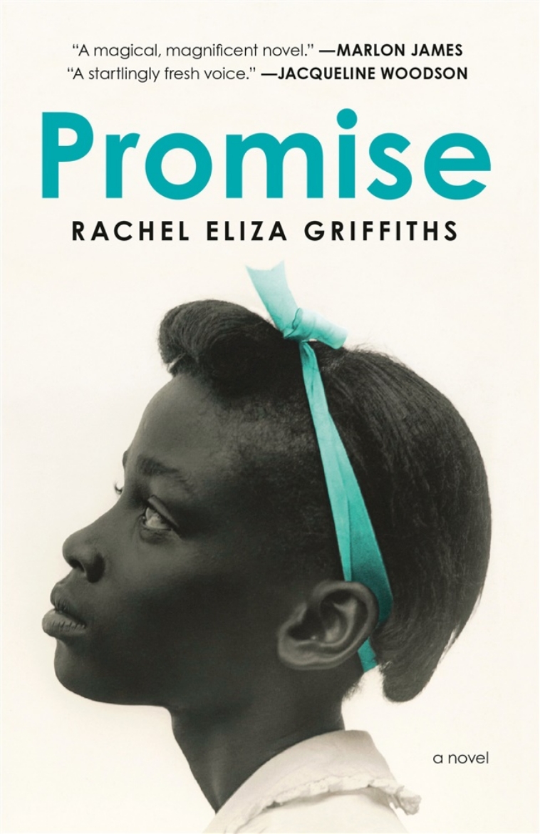 Picture of Promise: A Novel