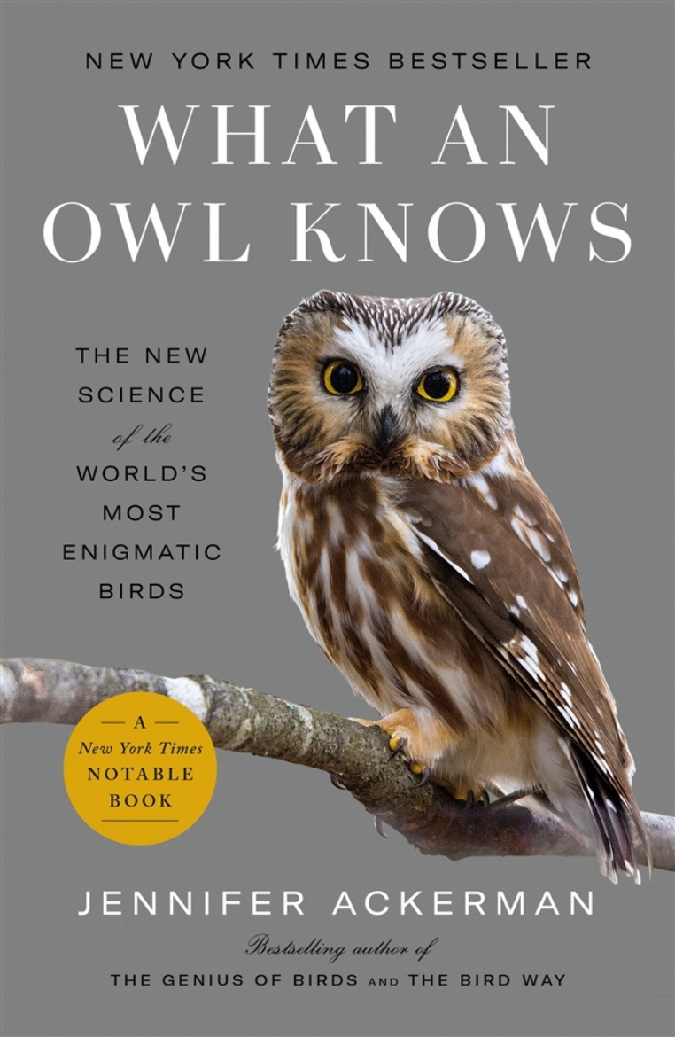 Picture of What an Owl Knows