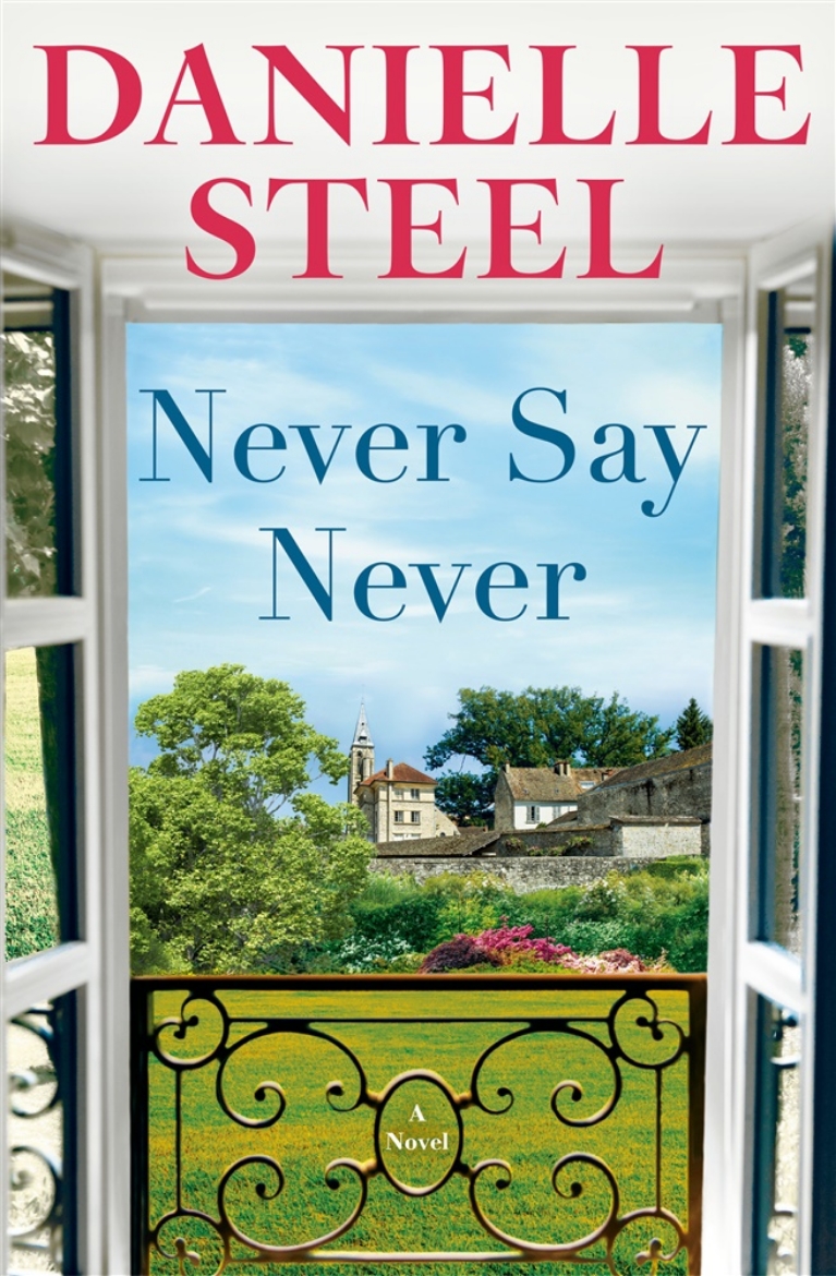 Picture of Never Say Never: A Novel