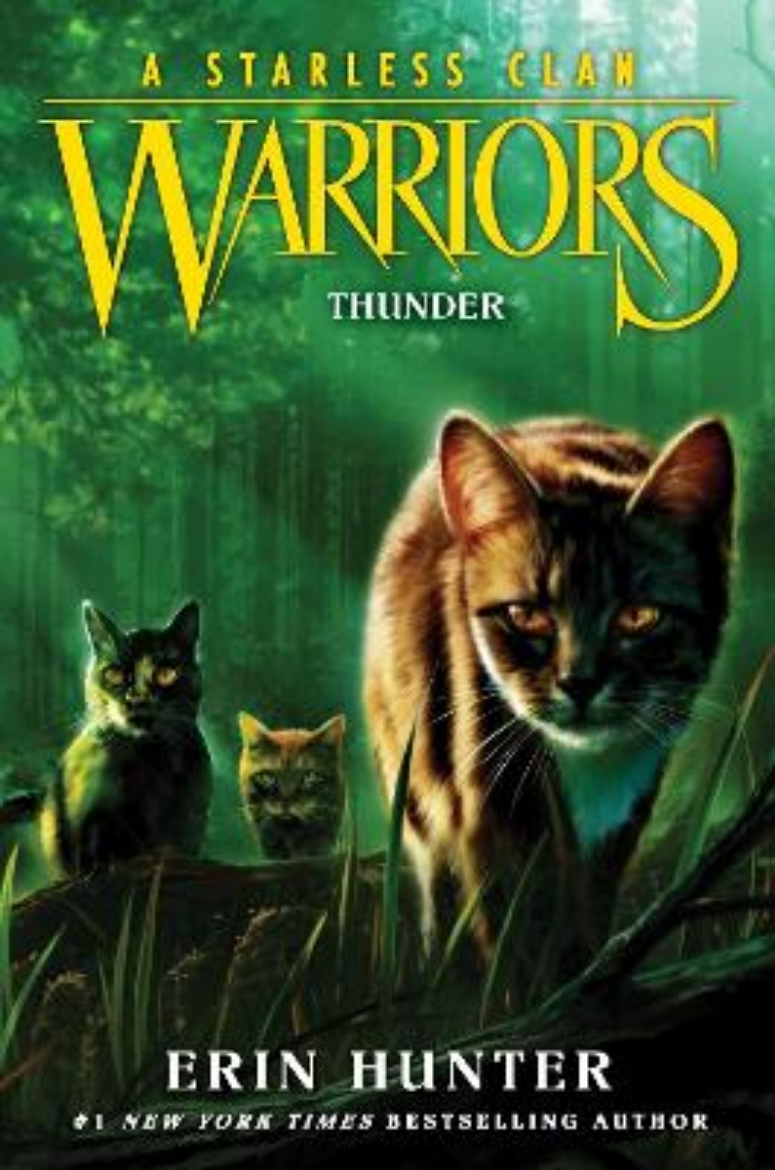 Picture of Warriors: A Starless Clan #4: Thunder