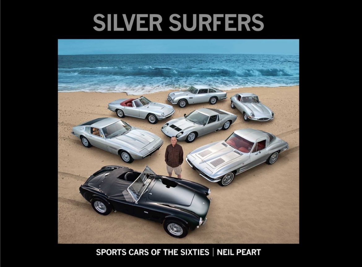 Picture of Silver Surfers