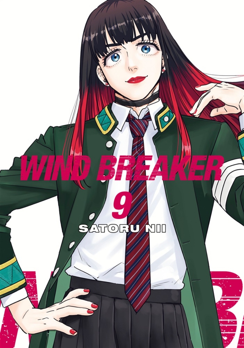 Picture of Wind Breaker 09