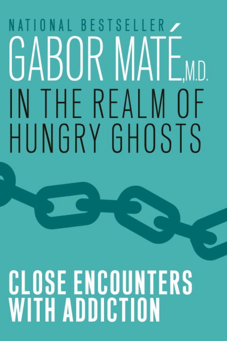 Picture of In the realm of hungry ghosts - close encounters with addiction