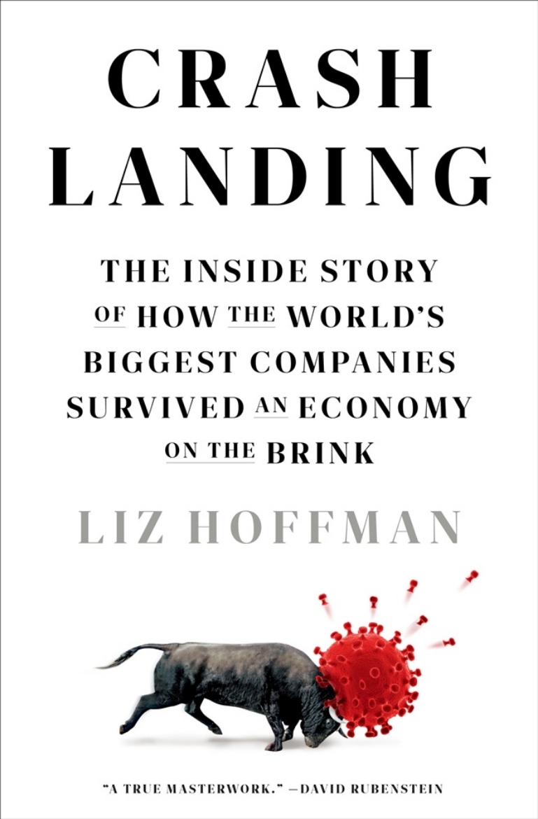 Picture of Crash Landing