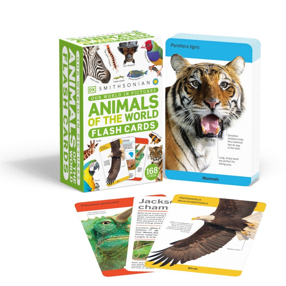 Picture of Our World in Pictures Animals of the World Flash Cards