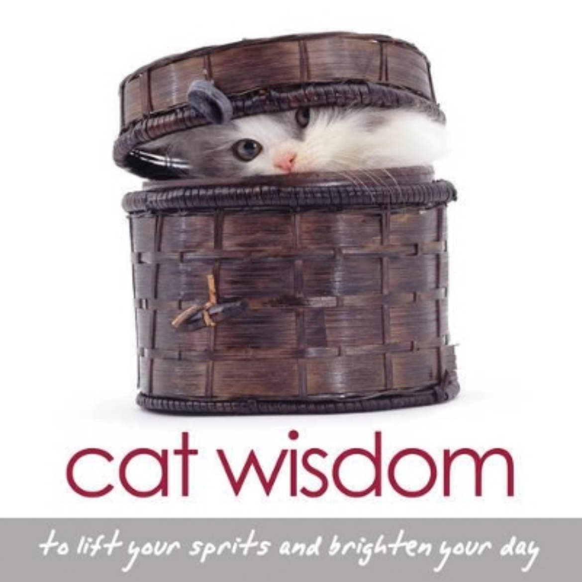 Picture of Cat Wisdom: To Lift Your Spirits & Brighten Your Day