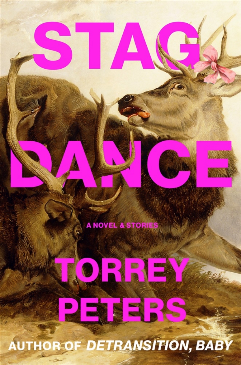 Picture of Stag Dance: A Novel & Stories