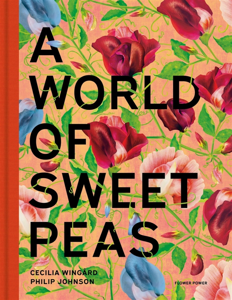 Picture of A World of Sweet Peas