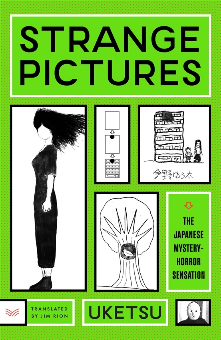 Picture of Strange Pictures: A Novel